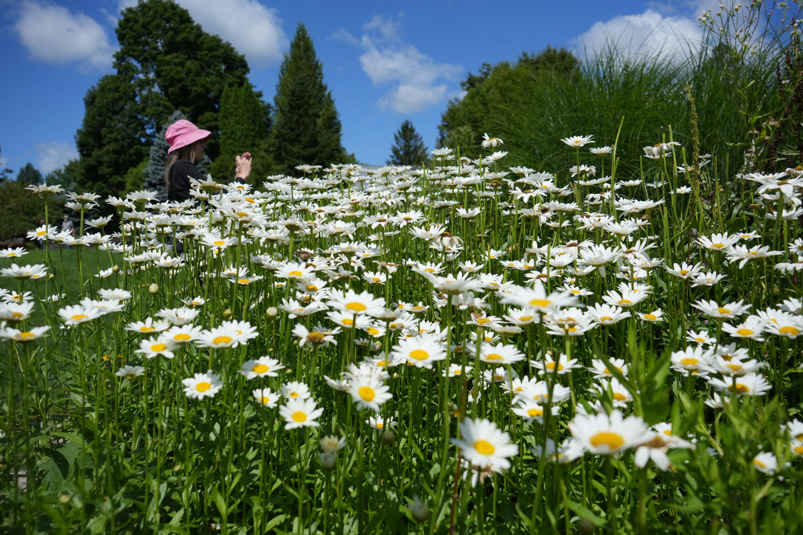 Berkshire Botanical Garden