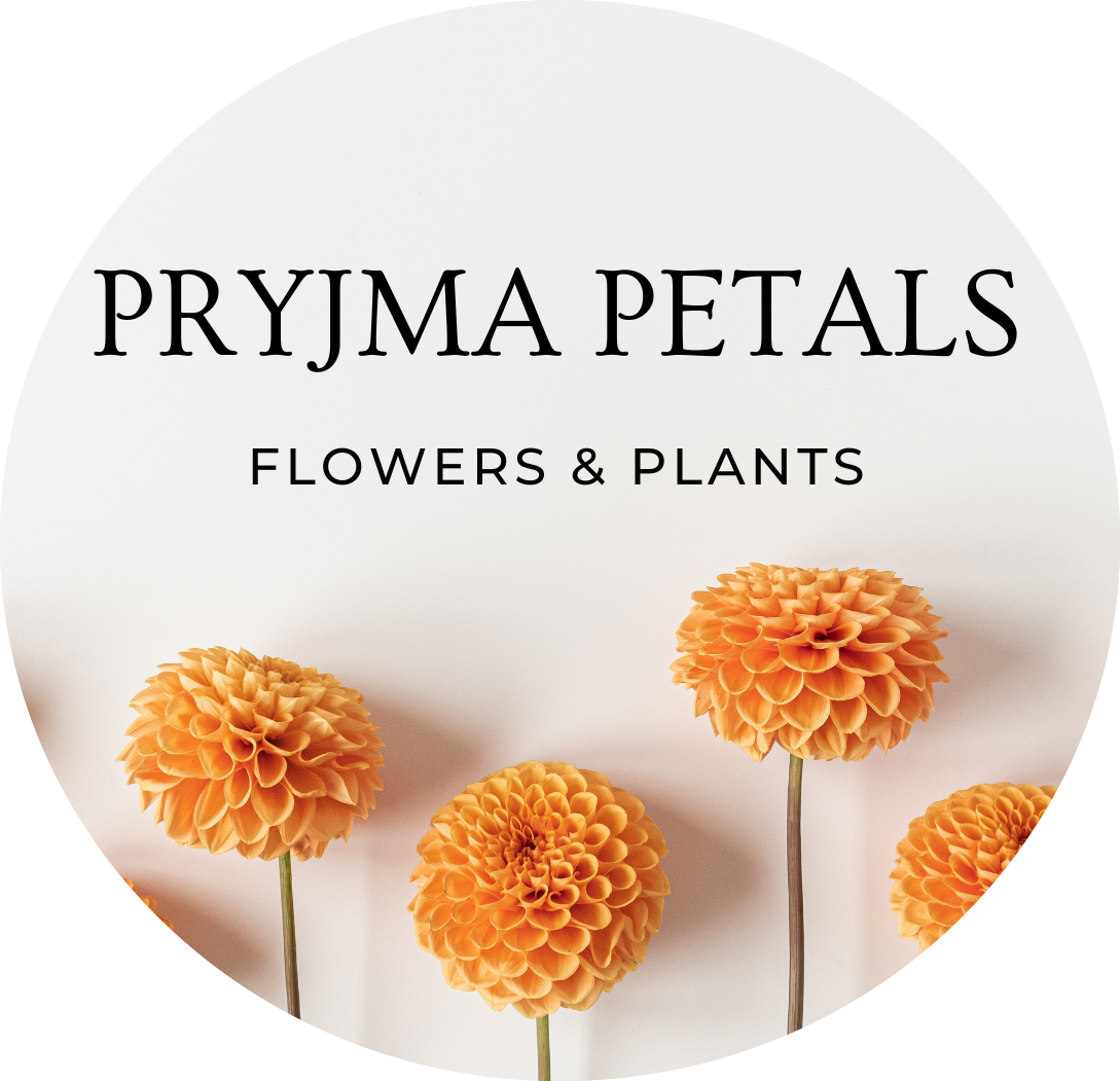 Pryjma Petals
